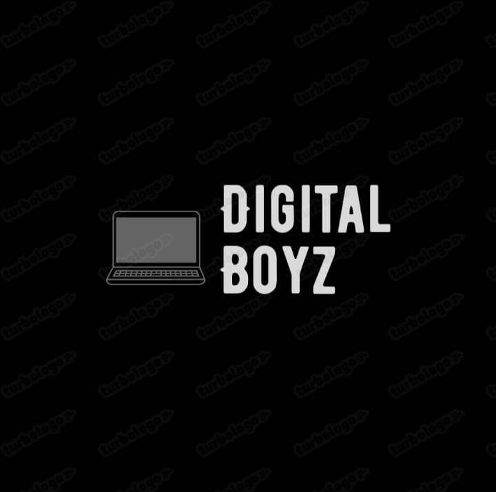 Digital Boyz LTD. logo